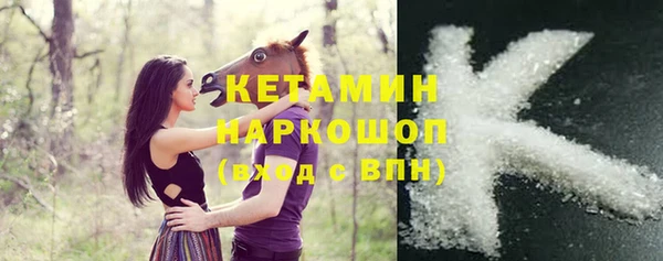 сатива Беломорск