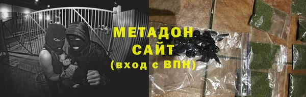 сатива Беломорск
