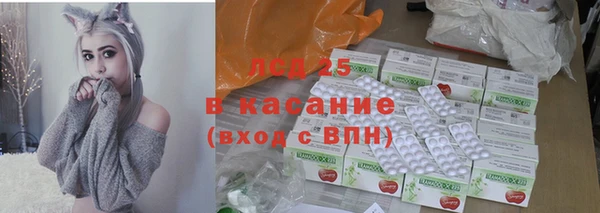 сатива Беломорск
