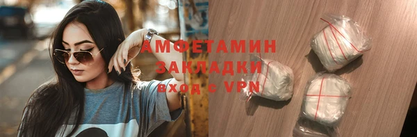 сатива Беломорск