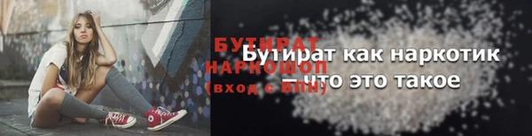 сатива Беломорск