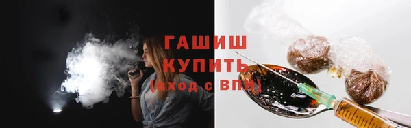 сатива Беломорск
