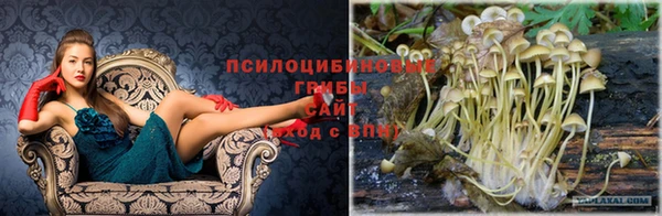кокс Белокуриха