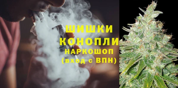 кокс Белокуриха