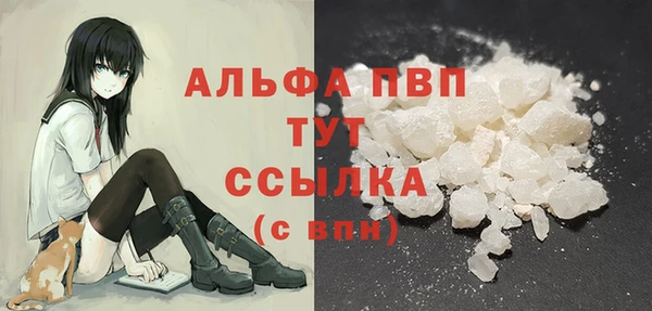 сатива Беломорск