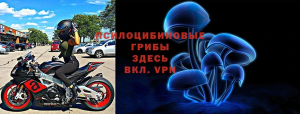 кокс Белокуриха
