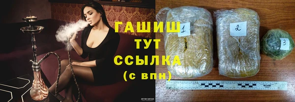 сатива Беломорск
