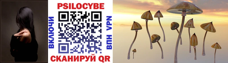 Галлюциногенные грибы Psilocybe  купить наркотик  Острогожск 