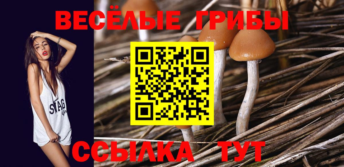 Псилоцибиновые грибы Magic Shrooms  Вход с VPN  Острогожск 